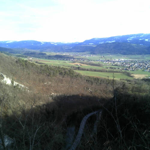 Chemin des Biches